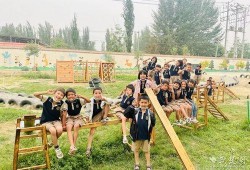 新疆志愿者爆料视频最新,揭露真实情况，引发社会关注