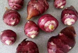 爆料老挝山楂的视频是真的吗,老挝山楂视频爆料是否属实？